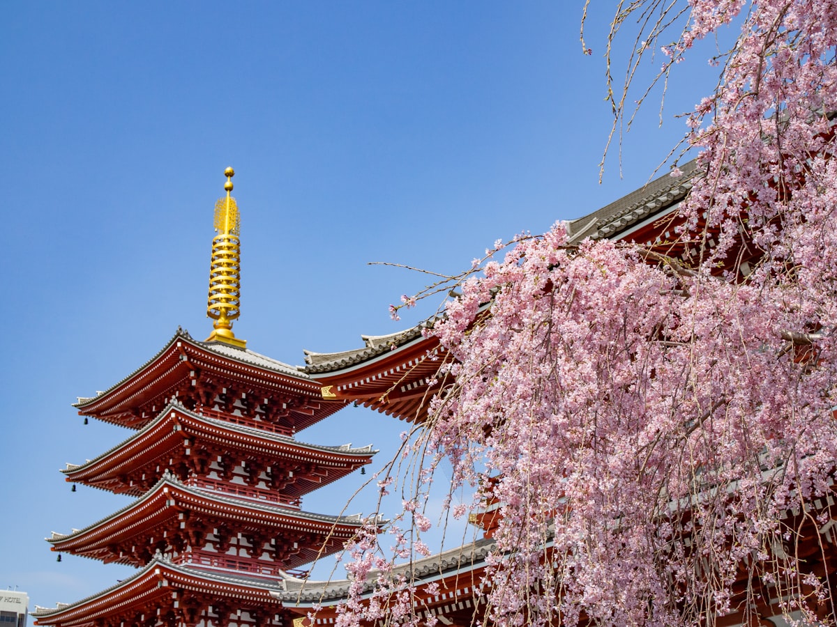 Tokyo, Japan travel guide cover